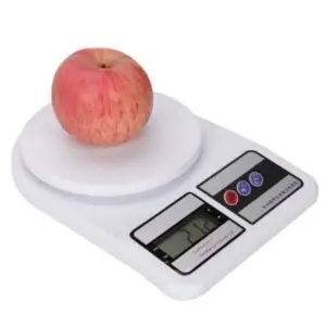 Digital Electronic Scale